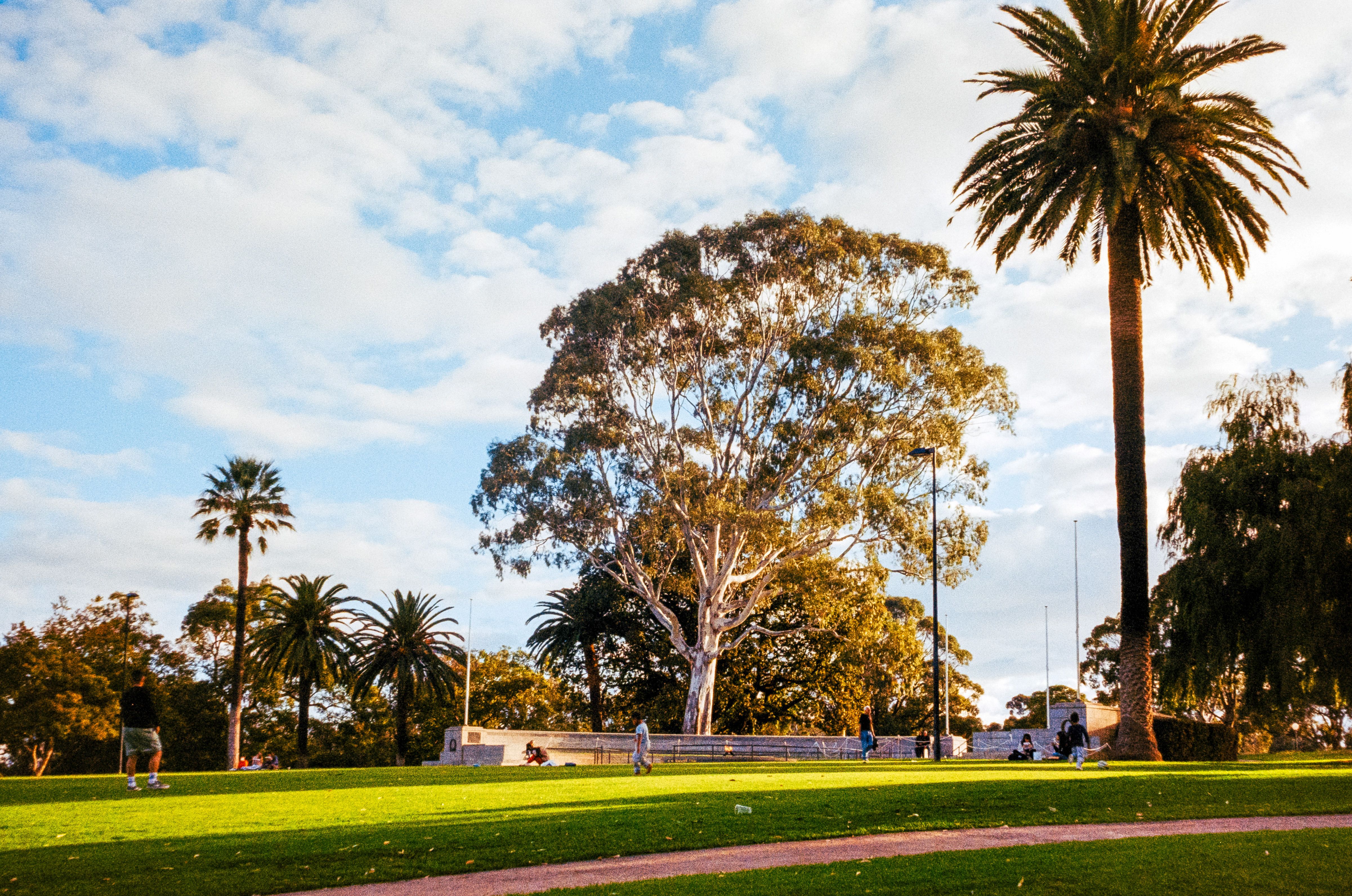 Best Running Routes in Perth: Parks, Trails and Road Circuits
