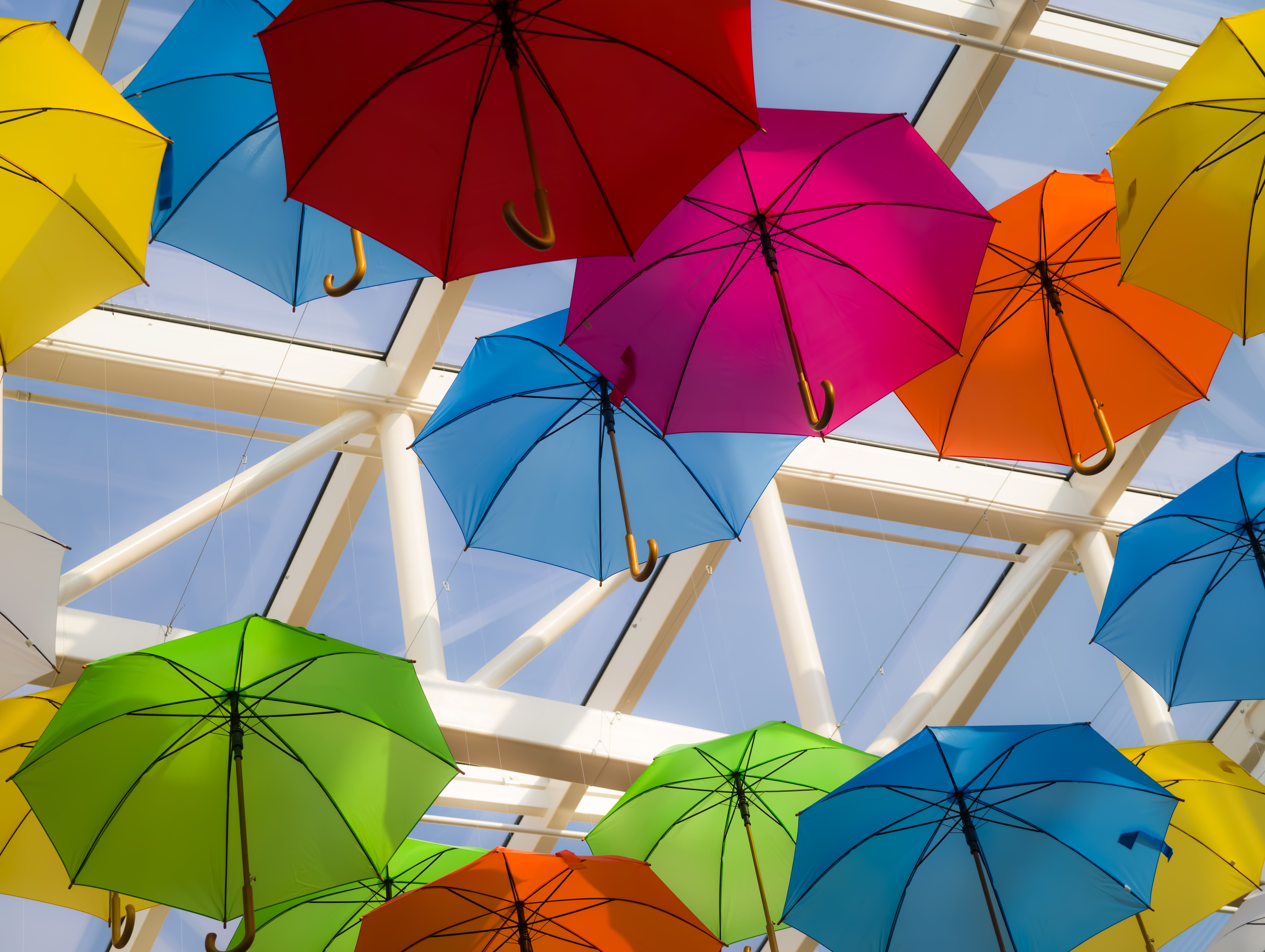 Rainy Day Activities in Perth: Indoor Options on a Grey Day