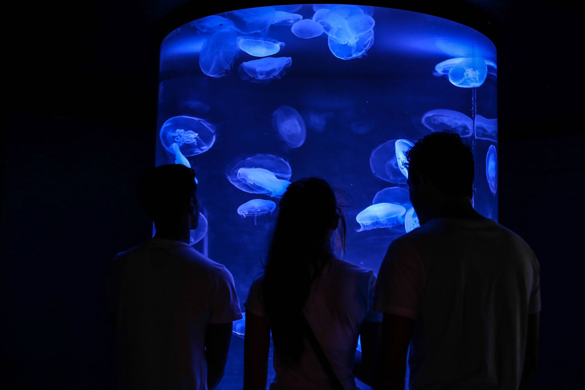 Best Family Activities in Perth: Perth Zoo, Aquarium and the Swan Valley