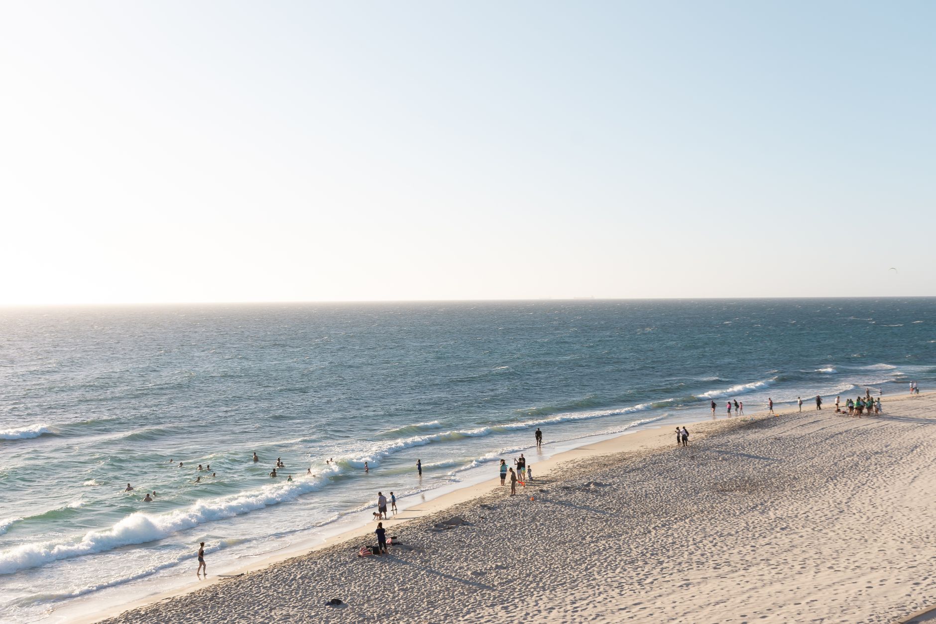 Dog-Friendly Perth: Beaches, Parks and Off-Leash Areas