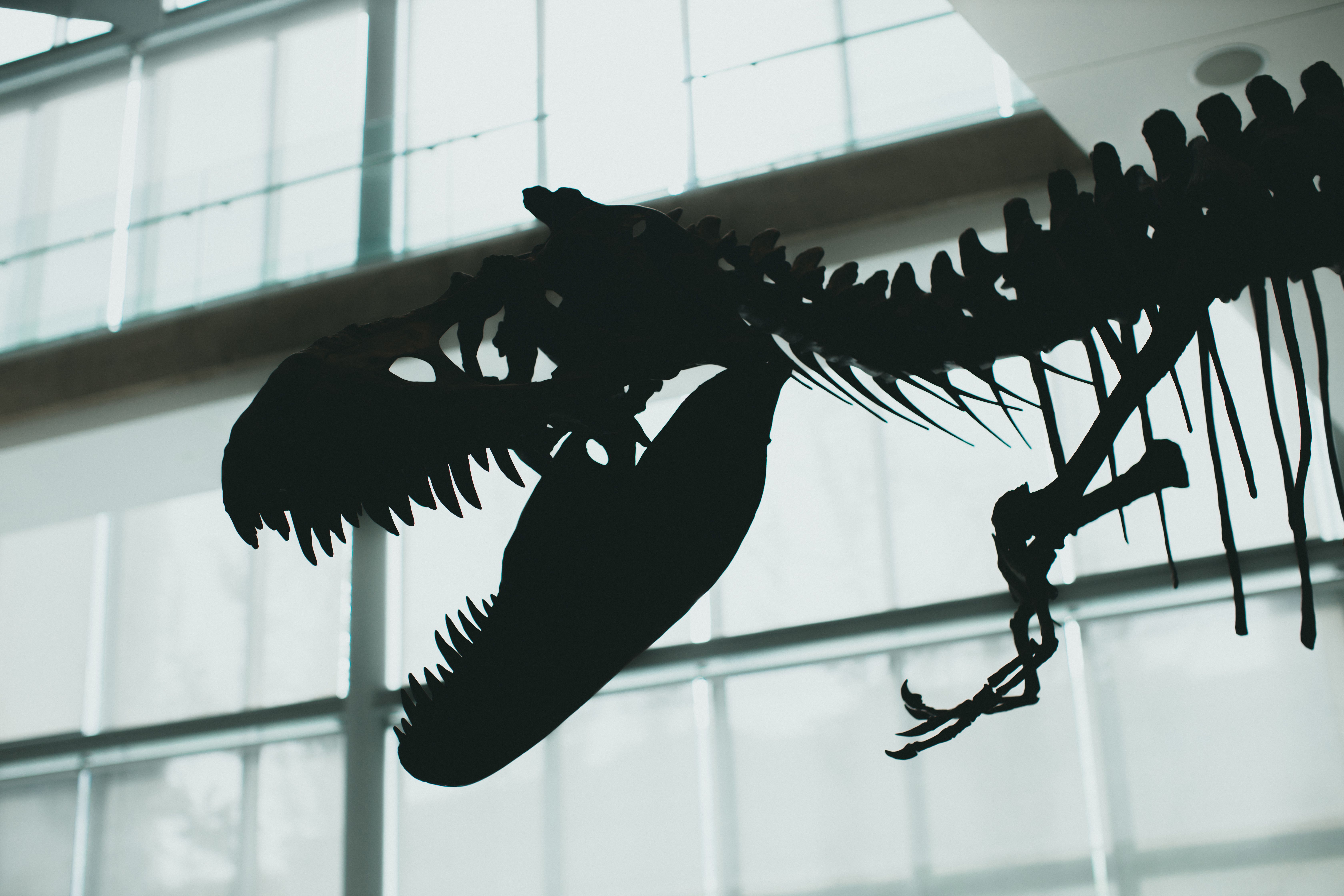 Best Museums in Perth: History, Science and Art Collections