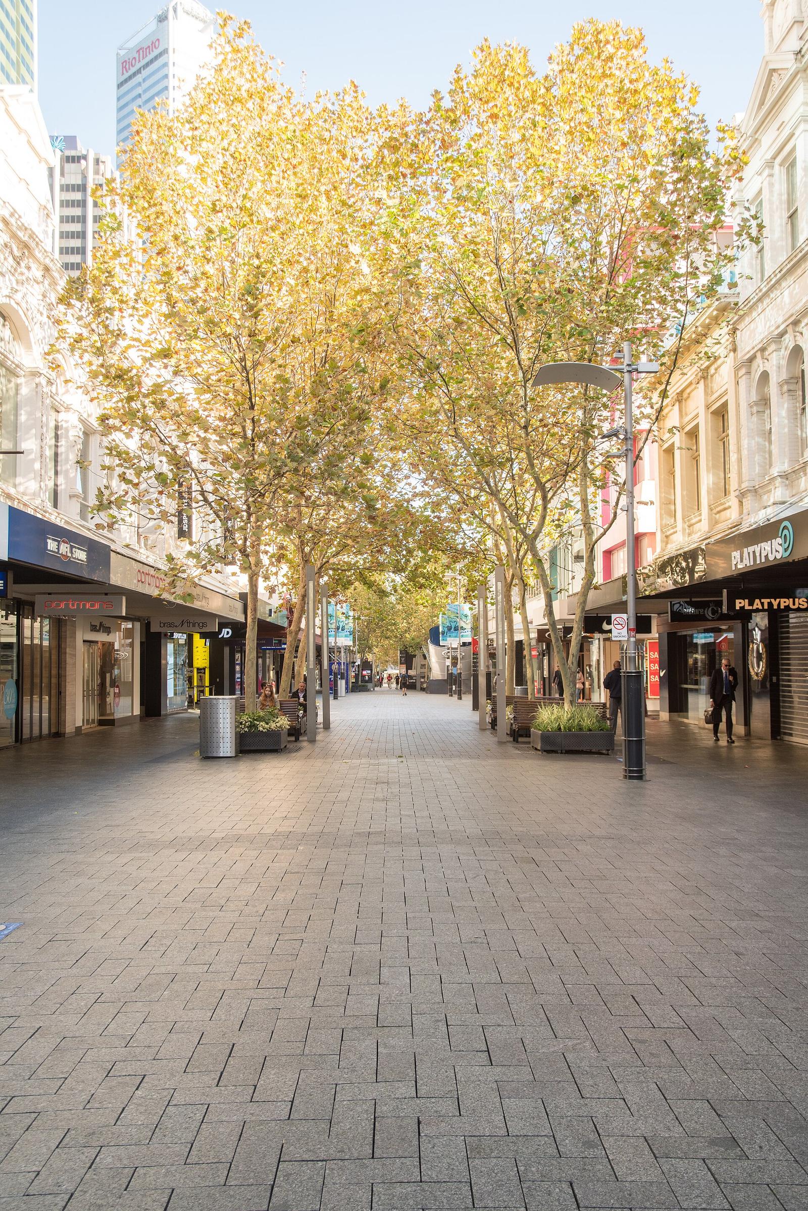 Perth's Housing Crisis: Data Reveals Critical Affordability Decisions Ahead